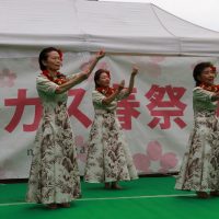 IMG_3263 IMG_3263